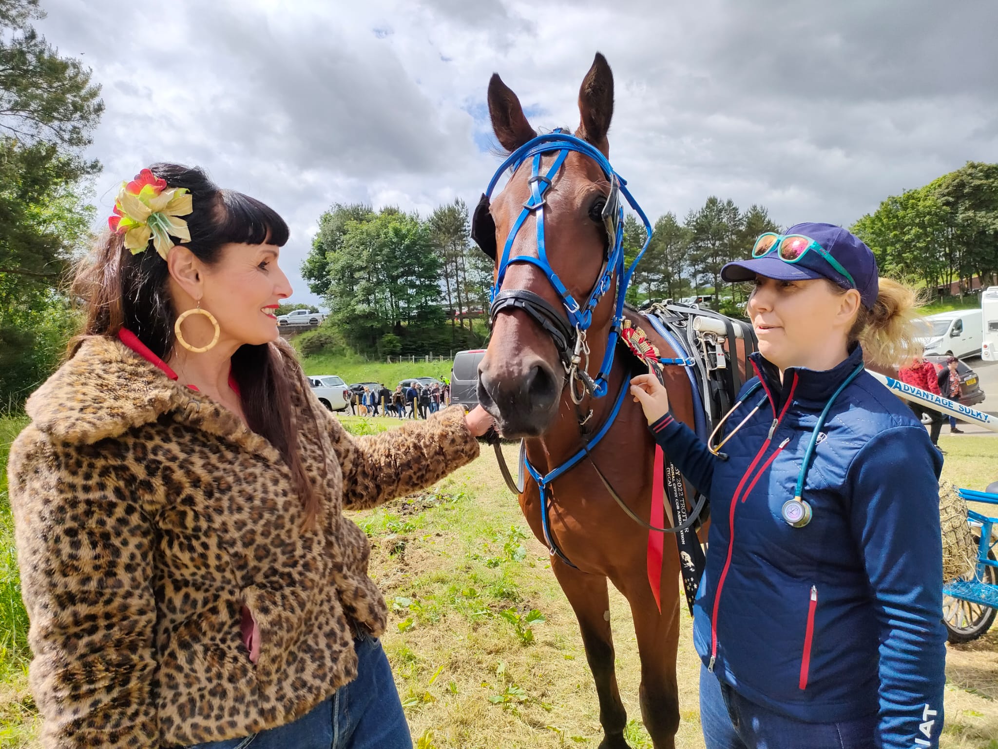 Animal welfare charities and fairgoers work together to keep horses ...
