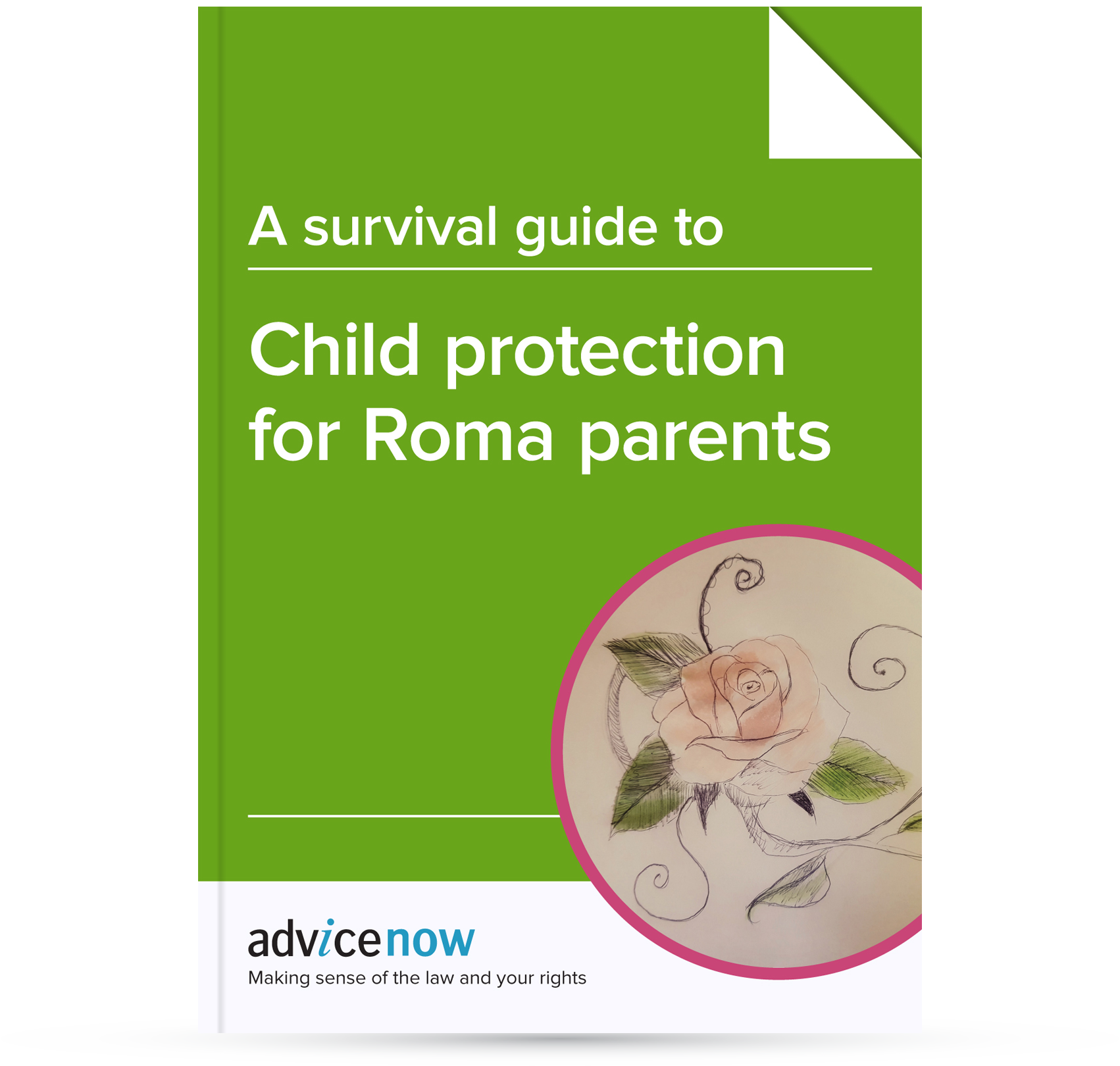 A survival guide to child protection for Roma parents Travellers Times
