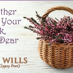 Book Review: Ray Wills new book ‘soul soothing’ says Stacey Hodgkinson