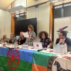 Beyond Recognition: Why the Council of Europe Strategy for Roma and Traveller Inclusion(2026–2030) Matters