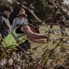 Archaeological dig reveals what life was like in the New Forest ‘Gypsy Compounds’