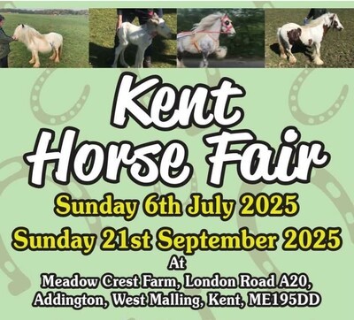horse fair flyer