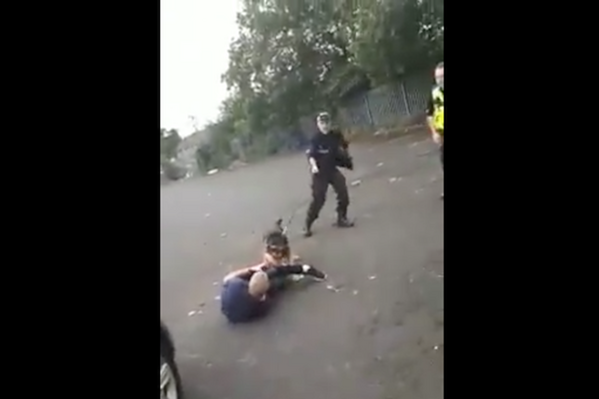 Police Officer sets dog on Traveller in brutal attack.