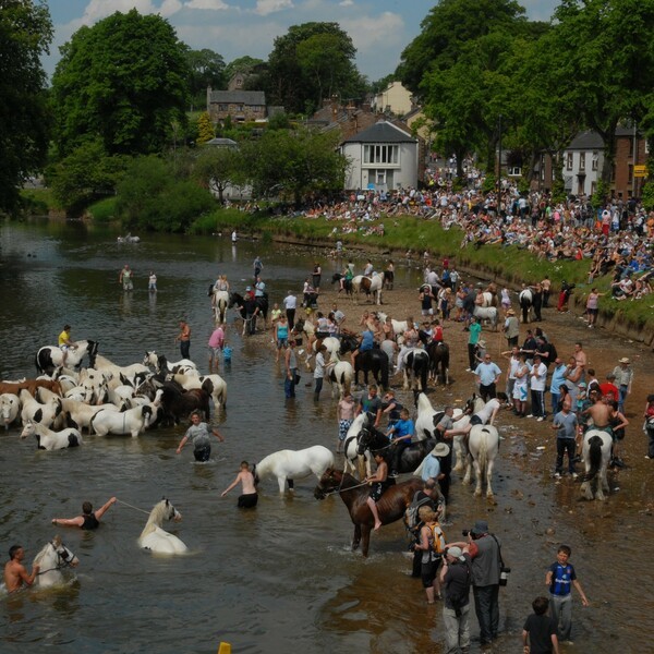 Appleby Fair River Eden