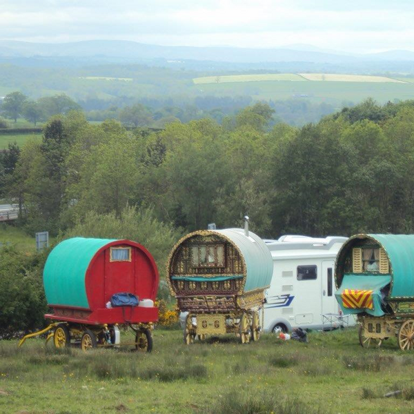 wagons in a field