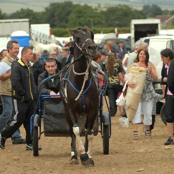 Seamer horse fair