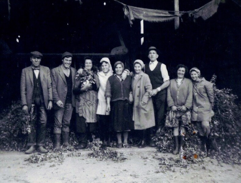 Travellers in the hop picking shed at Yarkhill Farm 1976. Left to right - My uncle, Nelson Johns, Joey Johns, Joanie Lee, Missy Johns, my aunt, Mimy Johns, Mrs Boswell, Mr Boswell, Boswell family member, and Betty Johns.