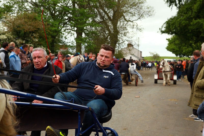 Appleby Horse Fair - A poem by Mick Yates