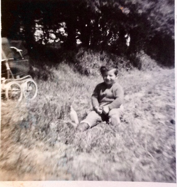 Chris Smith in the strawberry field at Yarkhill Farm, aged two