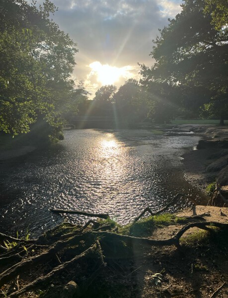 A Romany Pairing – a poem by Dee Cooper