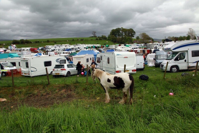 caravans and a horse