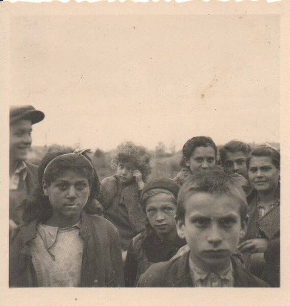 Romani Holocaust