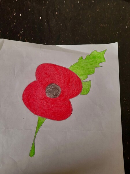 drawing of a poppy 