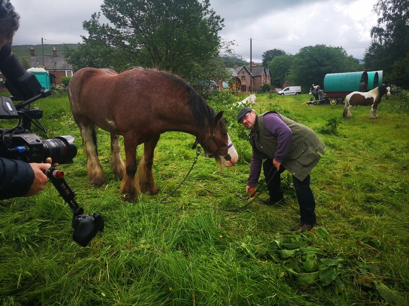 Redwings Safe Tethering