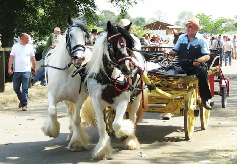 “No Hoof No Horse,” says Redwings Horse Sanctuary