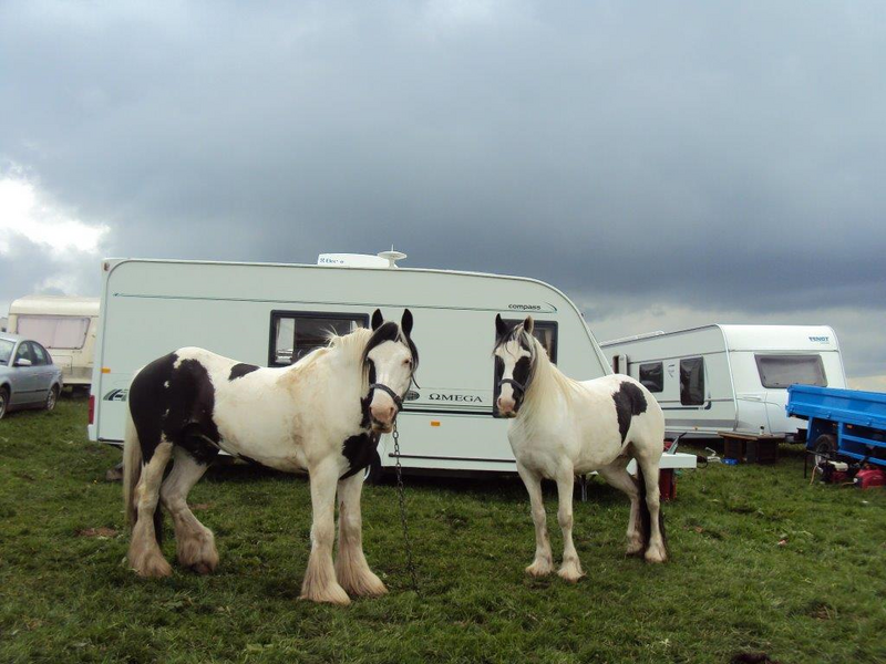 gypsy and traveller law