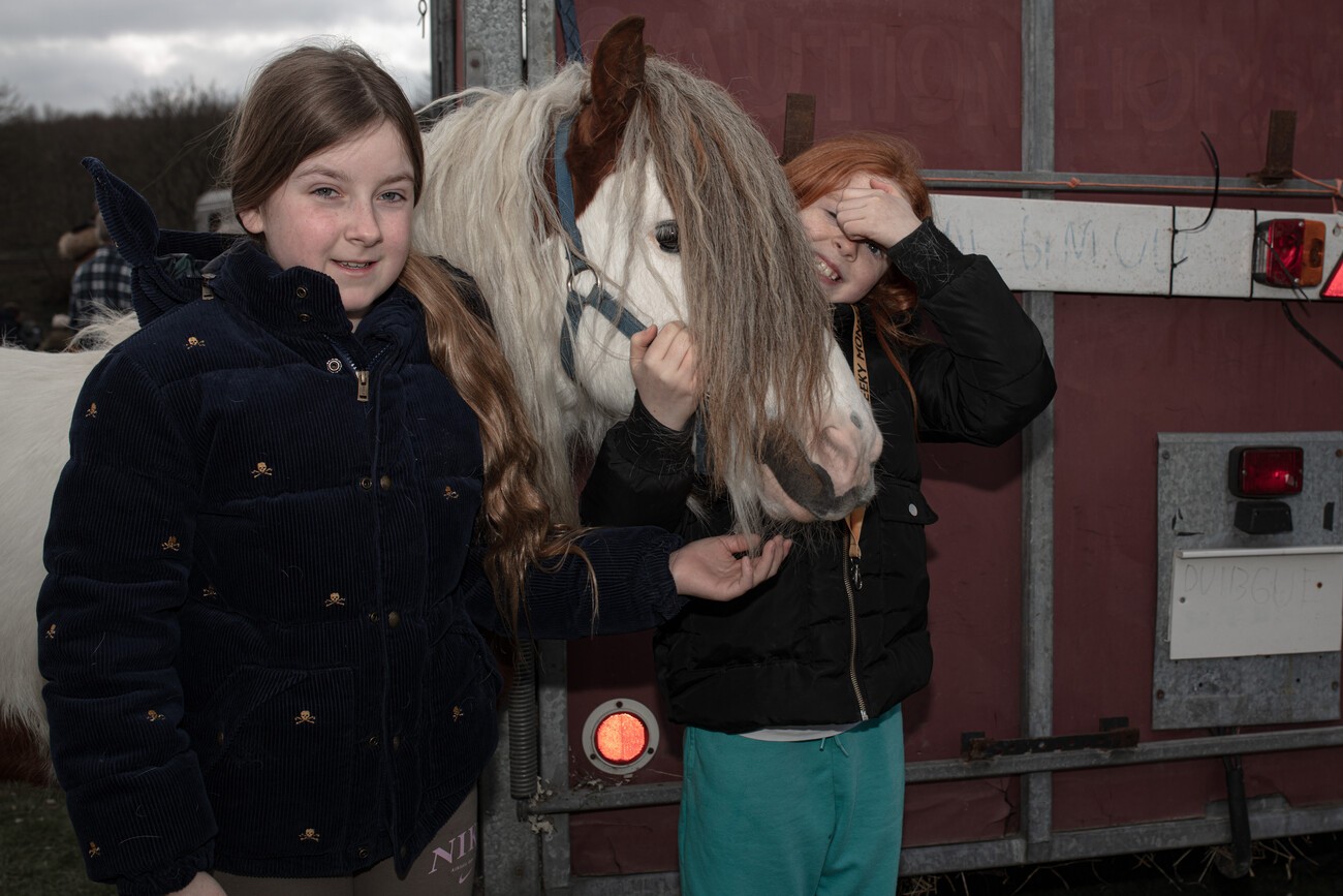 Kent Horse Fair 2023 - a TT photo-feature | Travellers Times