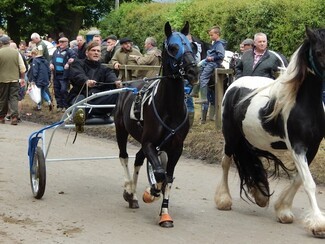 Appleby fair flash