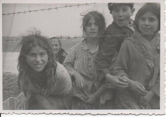The Gypsy Camp at Auschwitz - a poem by Raine Geohegan