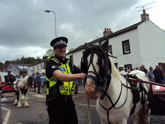 Police chiefs say consider over options than eviction of Traveller camps