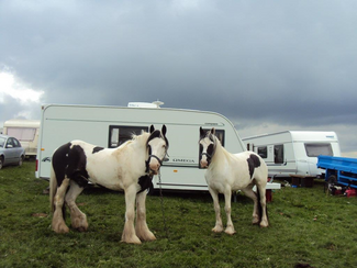 Lawyers stall Bradford Traveller site eviction