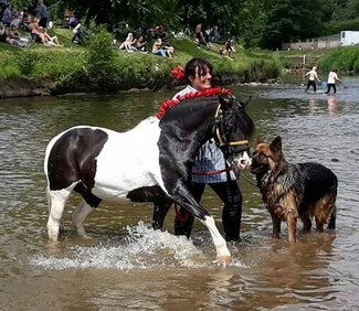 Rosie the amazing coloured pony raises 10k for NHS!