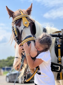 EIGHTEEN HORSE WELFARE AWARDS GIVEN OUT AT APPLEBY FAIR