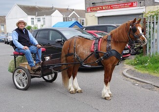 Ray’s Cobs Mumbles and Gower Pleasure Drive – ‘a good day out had by all’