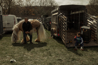 A busy, blustery Kent Horse Fair 2026 – photo story by Eszter Halasi