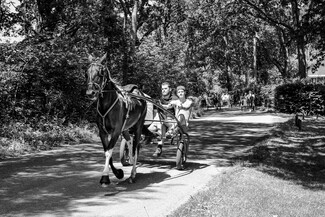 June Bournemouth Horse Fair and Drive - photo story by LE Thang
