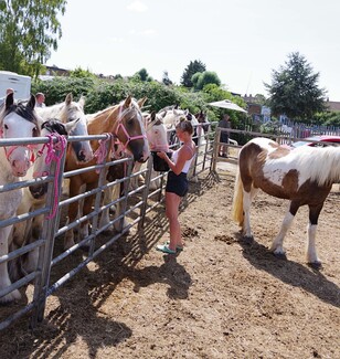 Tom Harbour’s Romford Horse Fair – a community report by John