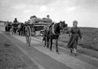 ‘Listen to the families’: Lorraine Barrie urges politicians to meet Tinker Experiment survivors