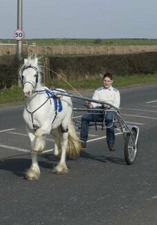 My ambition to be a farrier - Johnny Eastwood