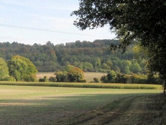 Chiltern and South Bucks District Councils Local Plan for accommodation and business needs