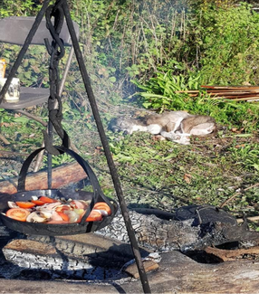 Food cooking on the fire
