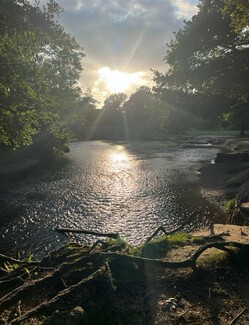 A Romany Pairing – a poem by Dee Cooper