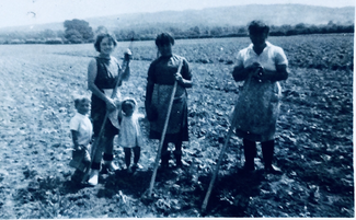 Chris Smith's Aunts Louise and Mary (his Dads Sisters with Mrs Barnes and her children in the mid 1960s at Shawle Court Farm