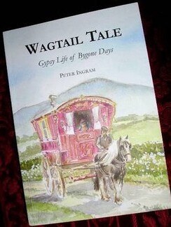 Book review: Wagtail Tale by Peter Ingram