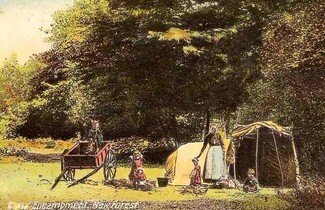 Gypsy camp in New Forest