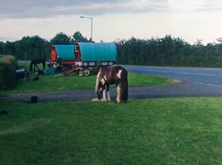 Horse-drawn New Traveller “reassured” by anti-horse tethering campaigners – but concerns remain