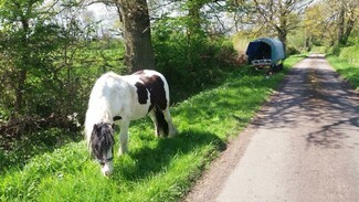 Horse-drawn New Traveller “reassured” by anti-horse tethering campaigners – but concerns remain