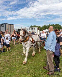 The sun shines down on Lee Gap Fair - photo's by Lee Ward at Law Photo