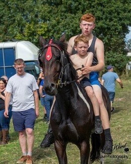 The sun shines down on Lee Gap Fair - photo's by Lee Ward at Law Photo