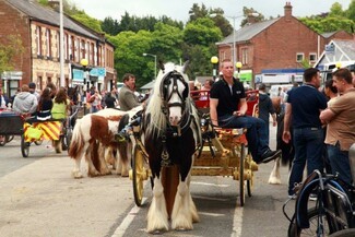 Horses Appleby