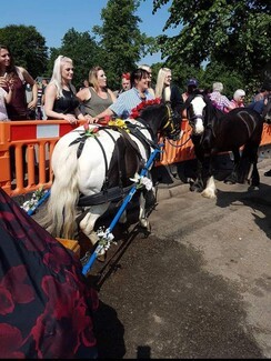 Rosie is a familiar sight at Appleby Fair - picture by Paula Attwell