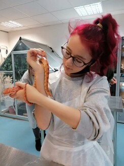 Girl holding a snake