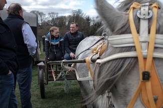 Horse Fair