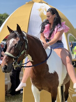 Martina and Apache who won a Returning Winner rosette