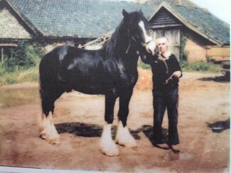 Joseph Draper with one of his horses