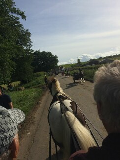 Appleby Fair